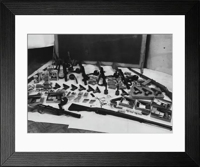 Framed Print : Heinleinist Weapons Framed Print : Heinleinist Weapons