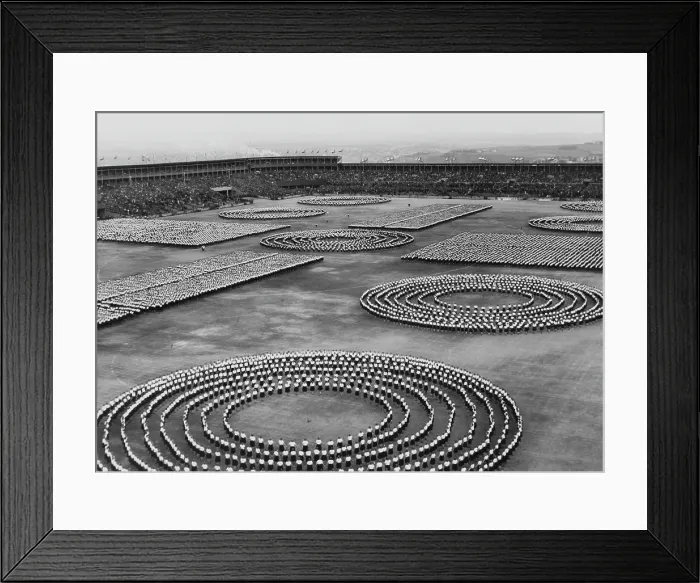 Framed Print : Sokol Congress Framed Print : Sokol Congress