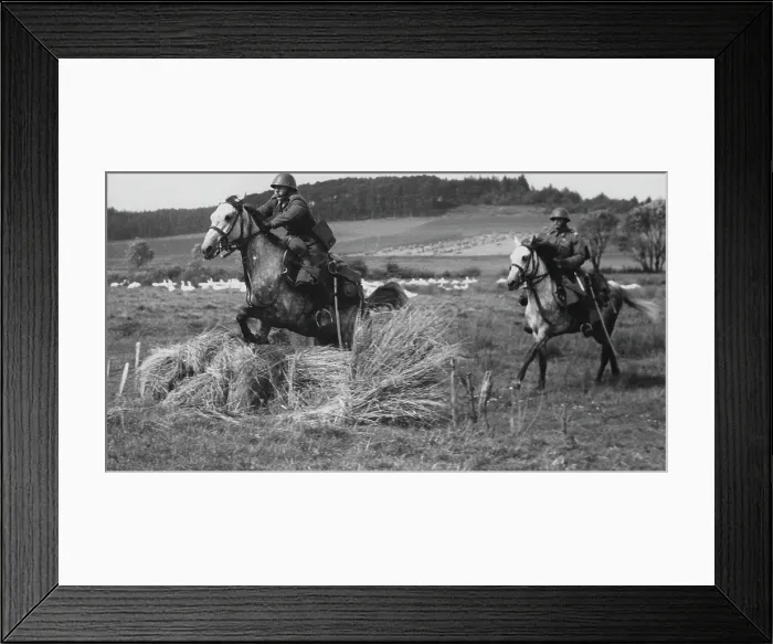 Framed Print : Czech Military Exercises