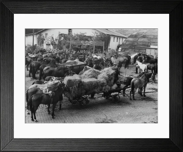 Framed Print : Czech Mobilisation Framed Print : Czech Mobilisation