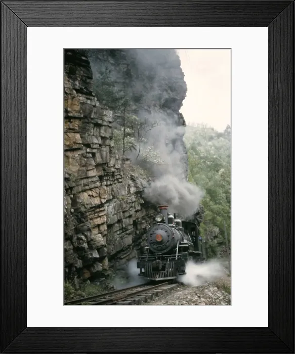Framed Print : The Tweetsie Framed Print : The Tweetsie