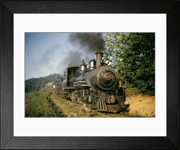 Framed Print : The Tweetsie