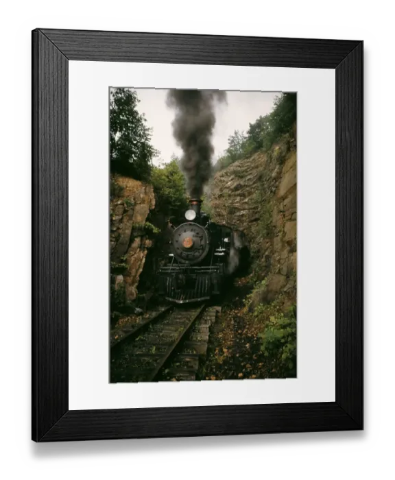 Framed Print : The Tweetsie
