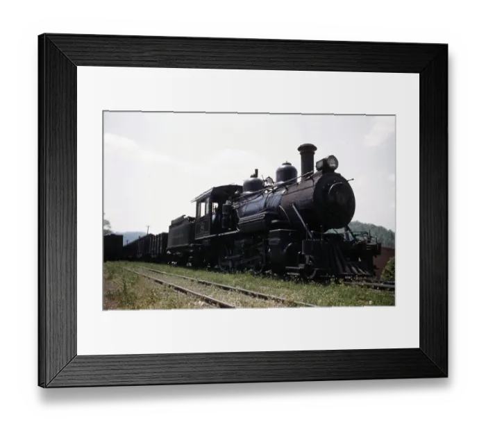 Framed Print : The Tweetsie Framed Print : The Tweetsie