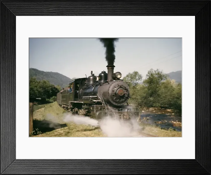 Framed Print : The Tweetsie Framed Print : The Tweetsie