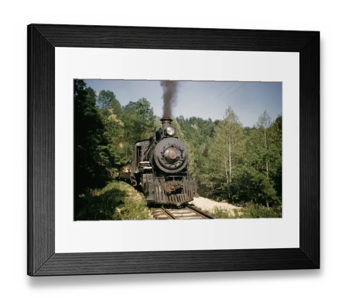 Framed Print : The Tweetsie Framed Print : The Tweetsie