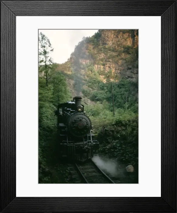 Framed Print : The Tweetsie Framed Print : The Tweetsie
