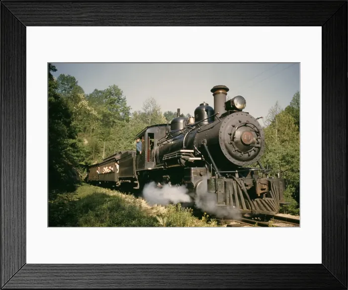 Framed Print : The Tweetsie Framed Print : The Tweetsie