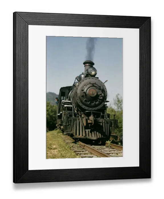 Framed Print : The Tweetsie Framed Print : The Tweetsie