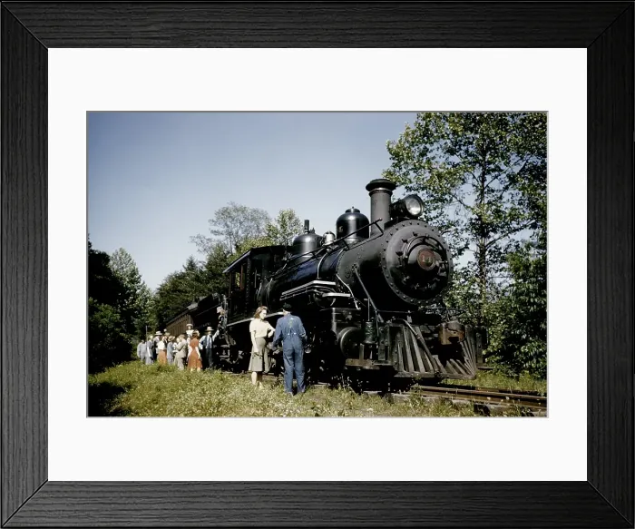 Framed Print : The Tweetsie Framed Print : The Tweetsie