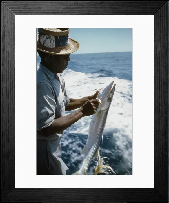 Framed Print : Deep Sea Fishing Framed Print : Deep Sea Fishing