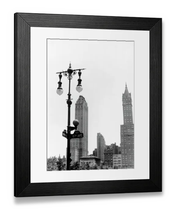 Framed Print : Central Park South