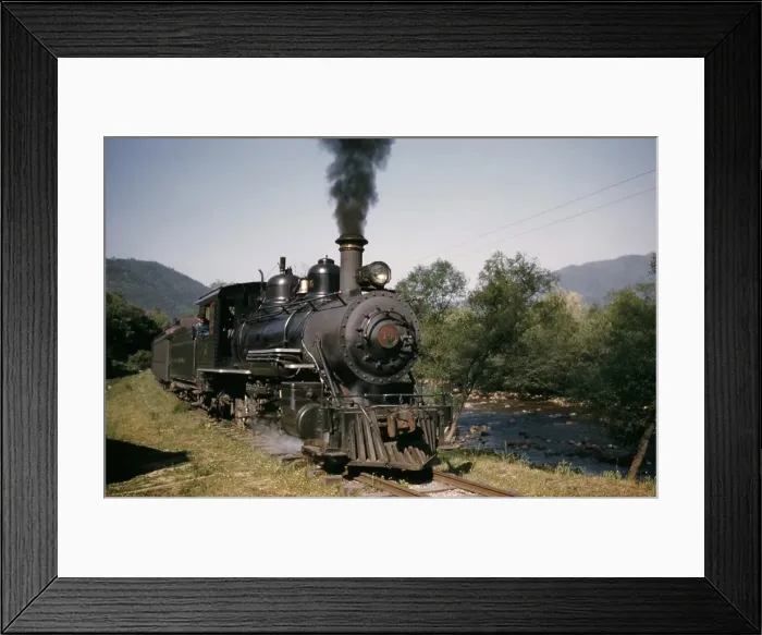 Framed Print : The Tweetsie Framed Print : The Tweetsie