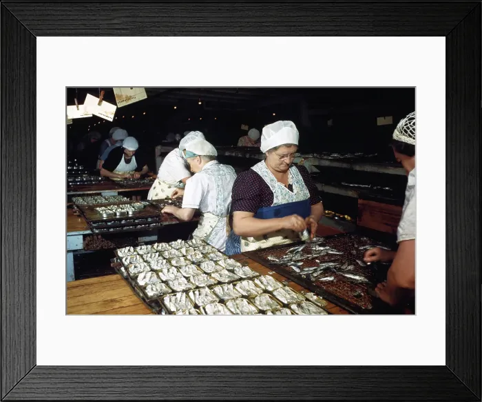 Framed Print : Sardine Fishing in Maine Framed Print : Sardine Fishing in Maine
