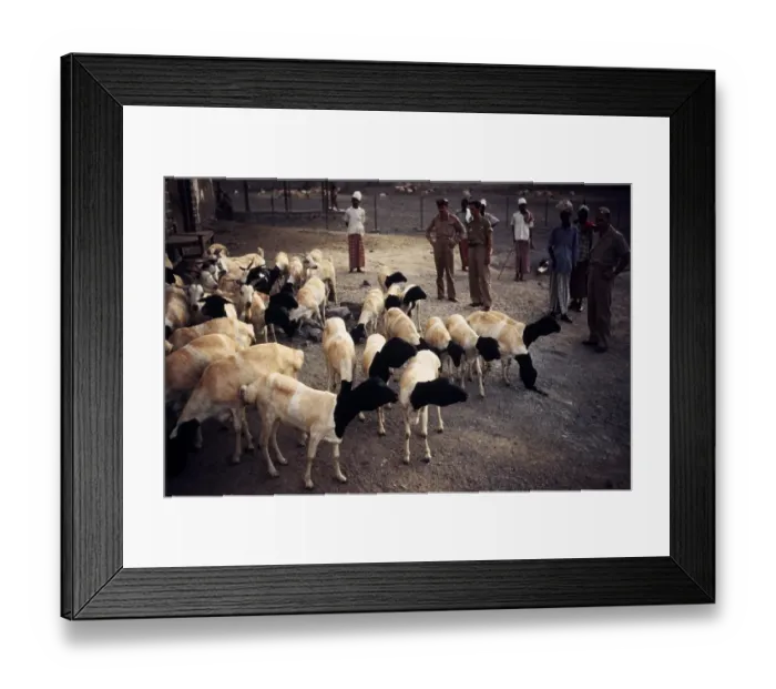 Framed Print : U.S. Army Air force Base