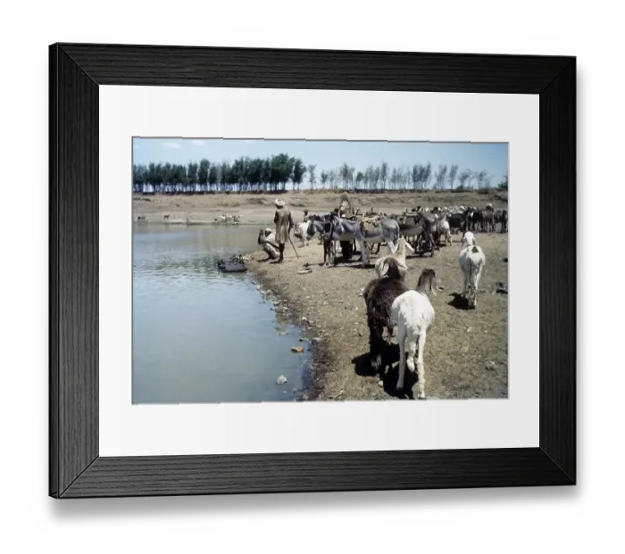 Framed Print : U.S. ARMY AIRFORCE BASE IN KHARTOUM, SUDAN Framed Print : U.S. ARMY AIRFORCE BASE IN KHARTOUM, SUDAN