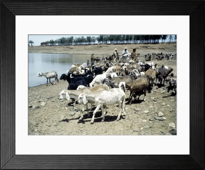 Framed Print : U.S. ARMY AIRFORCE BASE IN KHARTOUM, SUDAN
