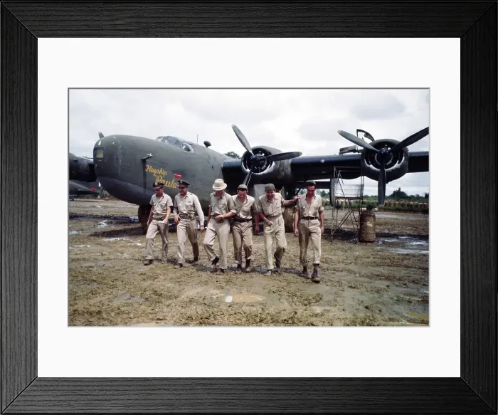 Framed Print : United States Army Air Forces Framed Print : United States Army Air Forces
