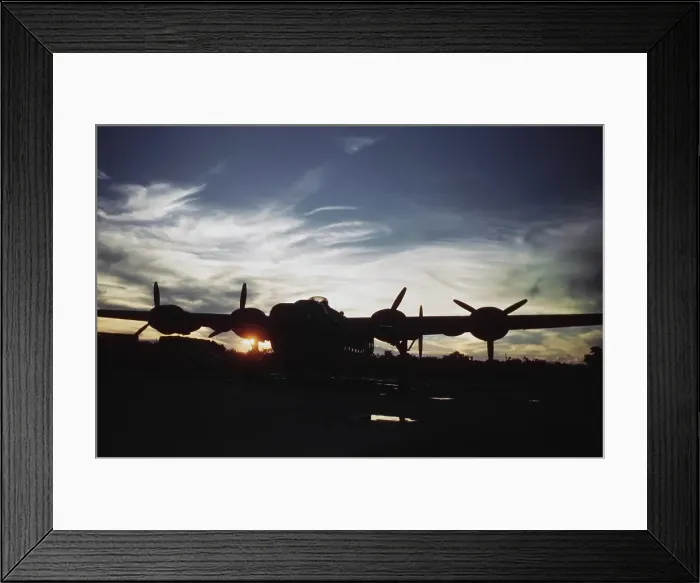 Framed Print : United States Army Air Forces Framed Print : United States Army Air Forces