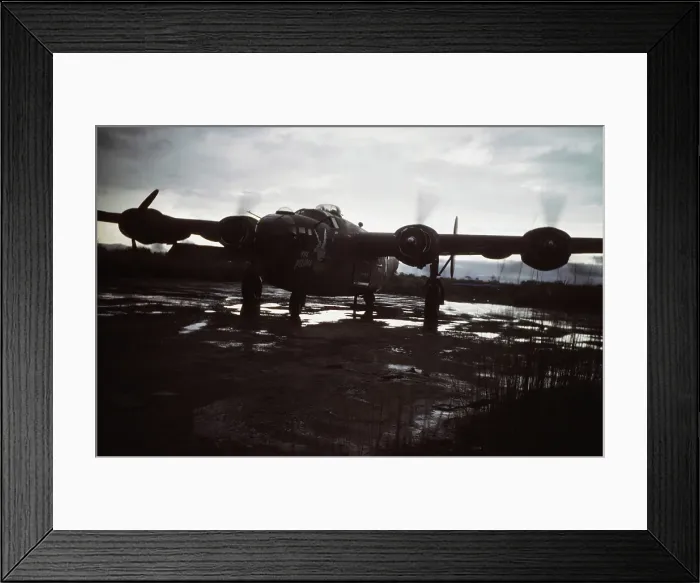 Framed Print : United States Army Air Forces Framed Print : United States Army Air Forces