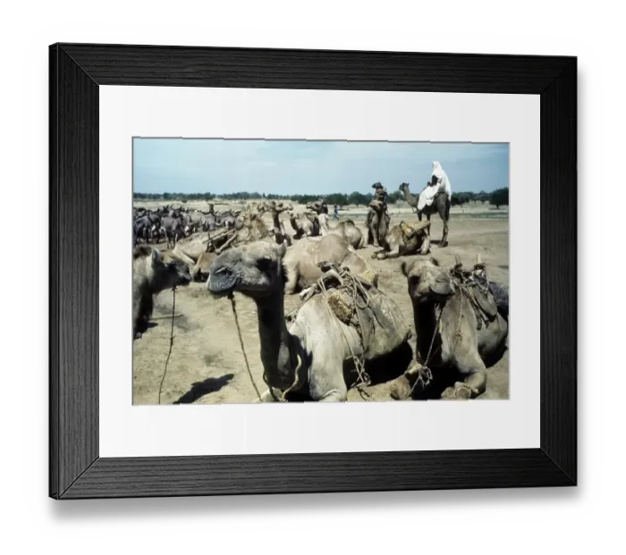 Framed Print : MAIDUGURI NIGERIA