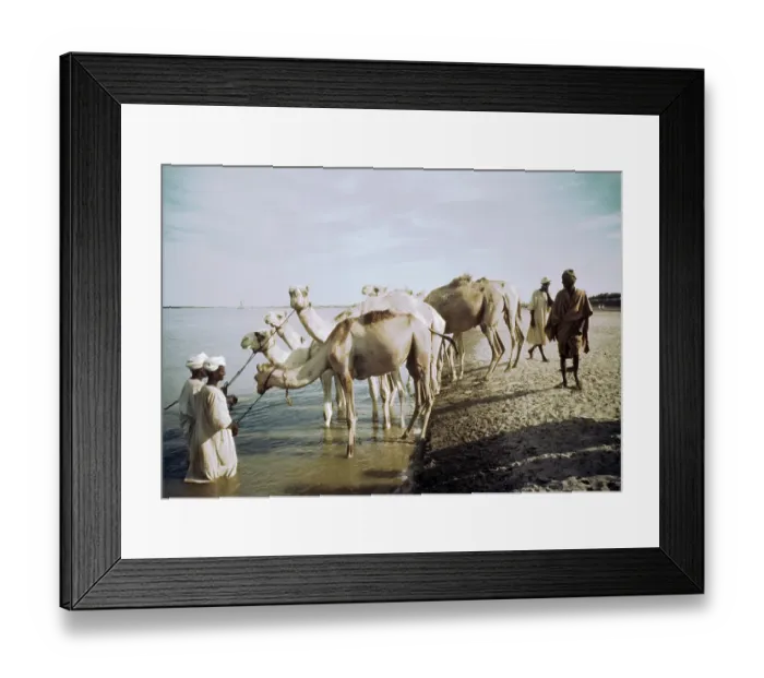 Framed Print : MAIDUGURI NIGERIA Framed Print : MAIDUGURI NIGERIA