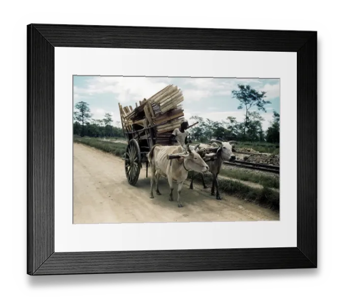 Framed Print : U.S.AIR FORCE BASE IN CHABUA ASSAM, INDIA Framed Print : U.S.AIR FORCE BASE IN CHABUA ASSAM, INDIA