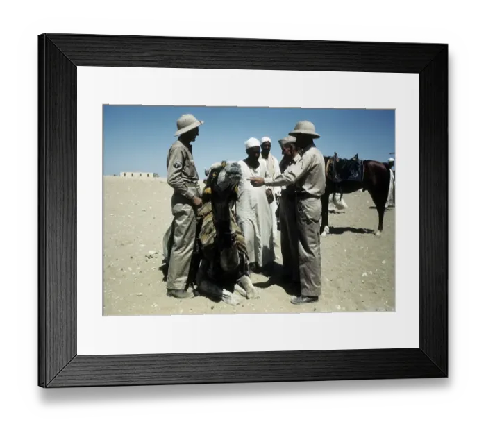 Framed Print : U.S. BASE IN ALGIERS, ALGERIA Framed Print : U.S. BASE IN ALGIERS, ALGERIA