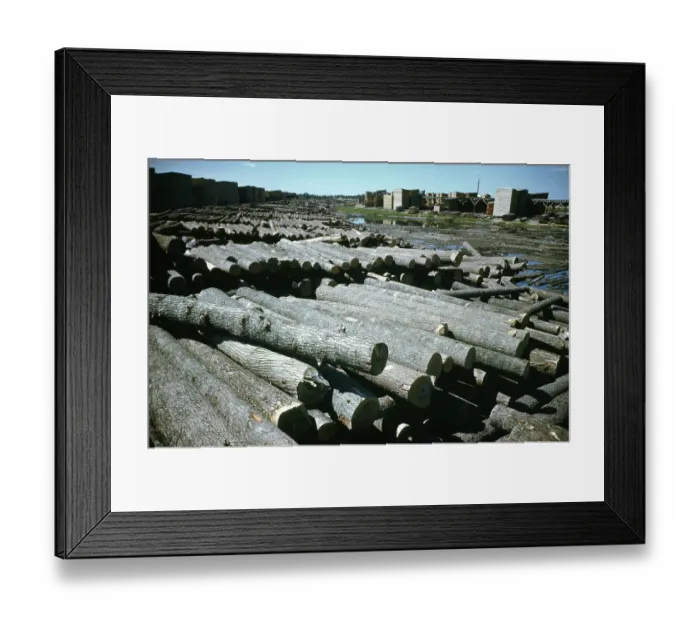 Framed Print : Nahma Township Logging Framed Print : Nahma Township Logging