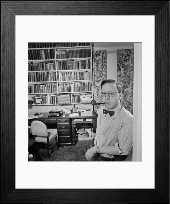 Framed Print : Arthur M. Schlesinger Jr Framed Print : Arthur M. Schlesinger Jr
