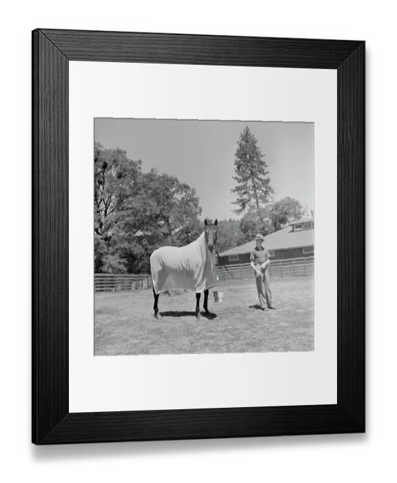 Framed Print : Seabiscuit Framed Print : Seabiscuit