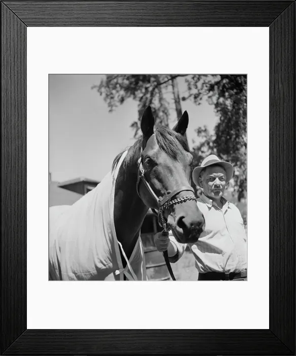 Framed Print : Seabiscuit Framed Print : Seabiscuit