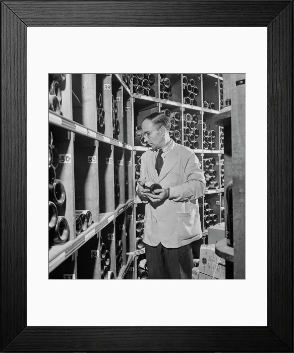 Framed Print : 21 Club. A waiter browsing bottles in the cellar of the 21 Club, restaurant Framed Print : 21 Club. A waiter browsing bottles in the cellar of the 21 Club, restaurant