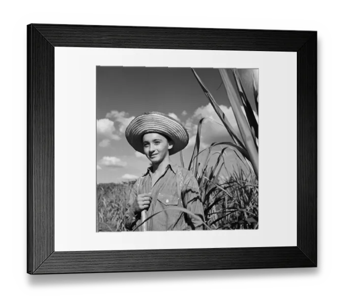 Framed Print : Havana, Cuba