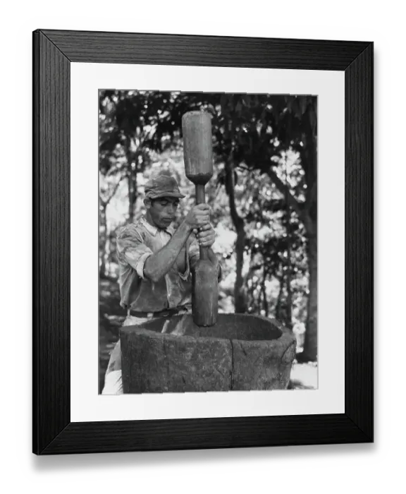 Framed Print : Puerto Rico Coffee Framed Print : Puerto Rico Coffee