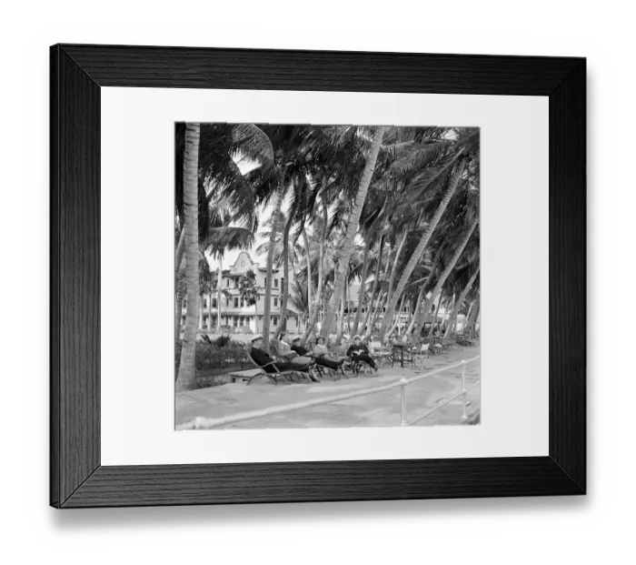 Framed Print : Kingston, Jamaica Framed Print : Kingston, Jamaica