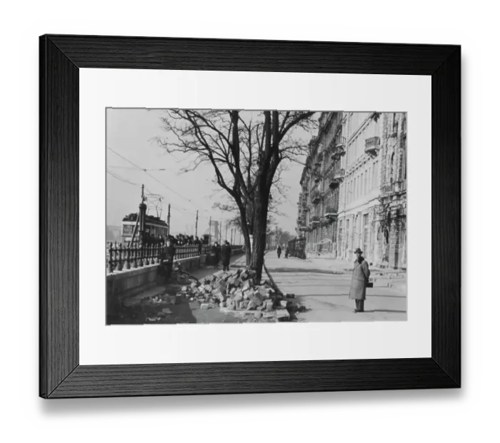 Framed Print : Budapest Promenade