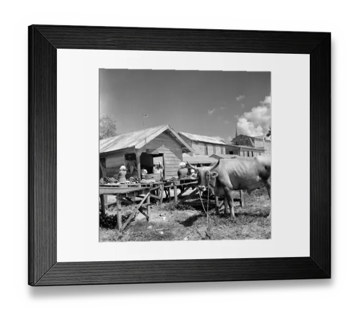 Framed Print : Paramaribo, Suriname Framed Print : Paramaribo, Suriname
