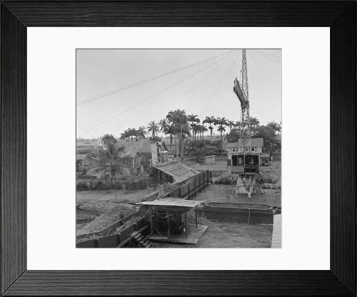 Framed Print : Georgetown, British Guyana