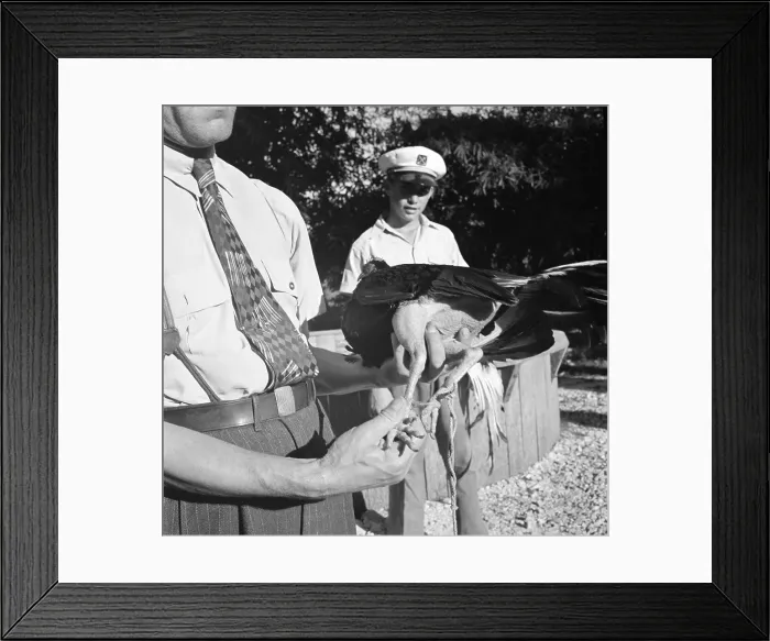 Framed Print : Havana, Cuba Framed Print : Havana, Cuba