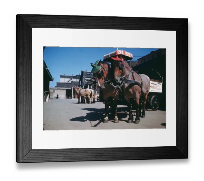 Framed Print : GOTHENBURG SWEDEN Framed Print : GOTHENBURG SWEDEN