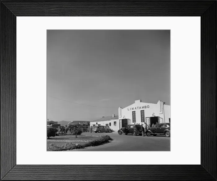 Framed Print : Pan American Grace Airlines Framed Print : Pan American Grace Airlines