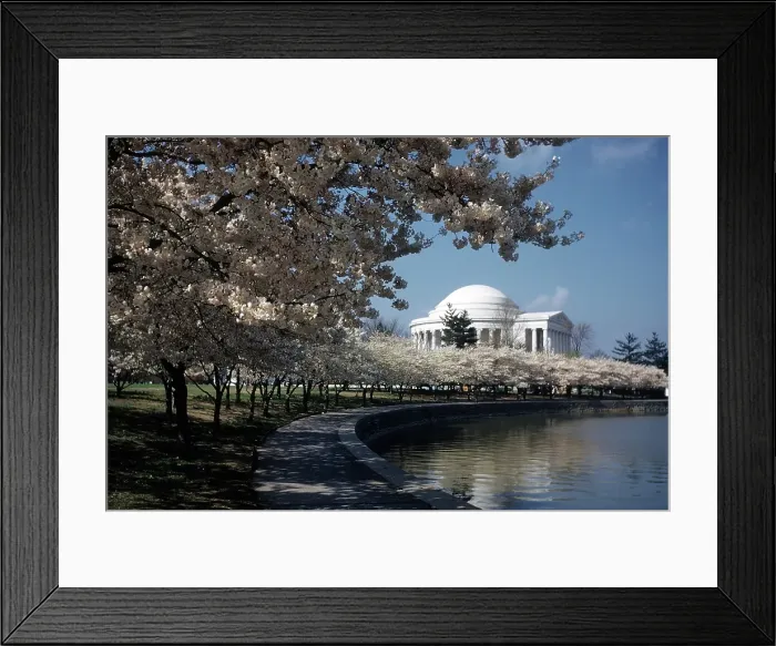 Framed Print : WASHINGTON D.C Framed Print : WASHINGTON D.C