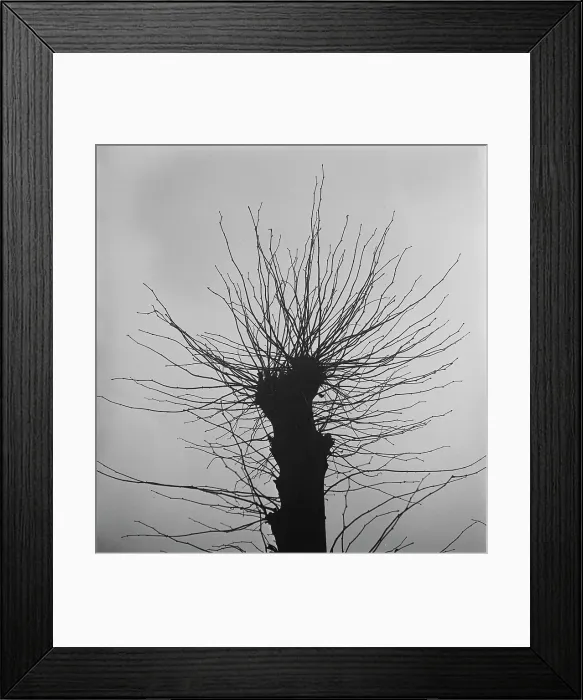 Framed Print : London Fog