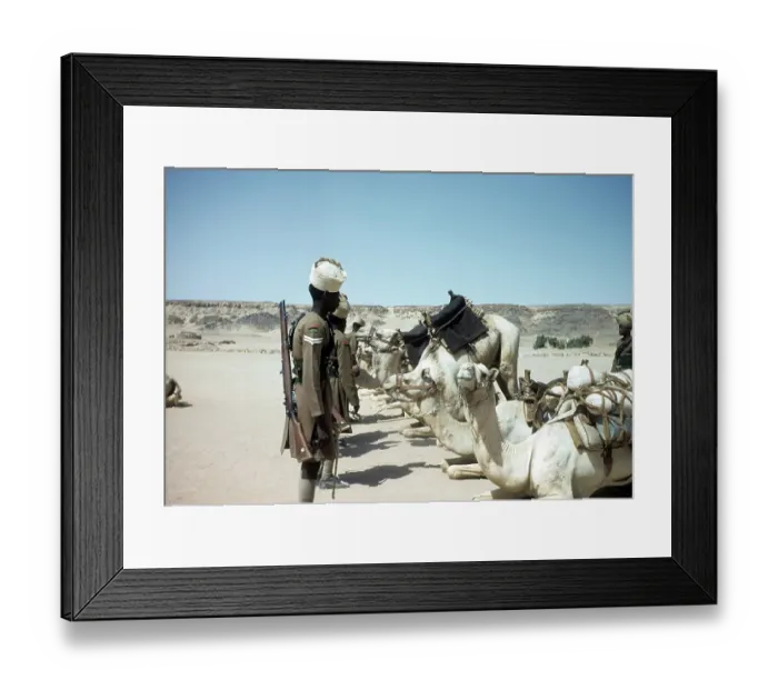 Framed Print : EGYPTIAN ARMY Framed Print : EGYPTIAN ARMY