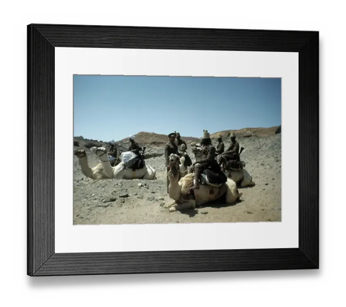 Framed Print : EGYPTIAN ARMY Framed Print : EGYPTIAN ARMY