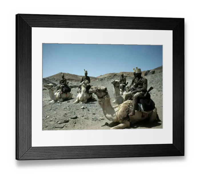 Framed Print : EGYPTIAN ARMY
