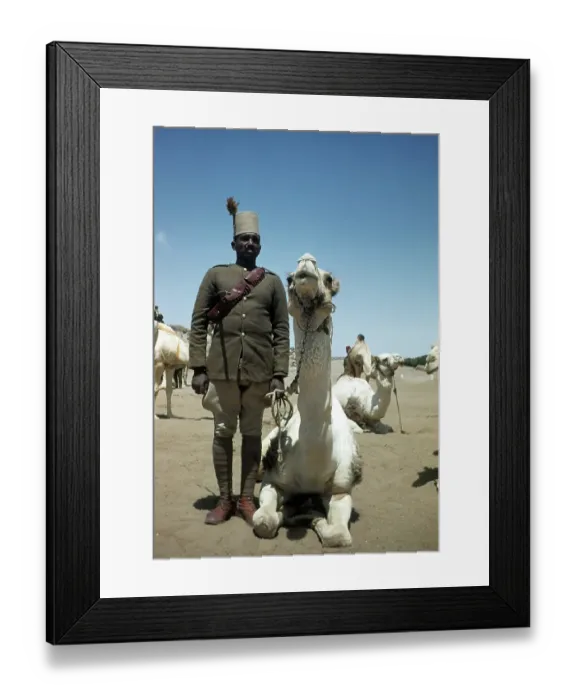 Framed Print : EGYPTIAN ARMY