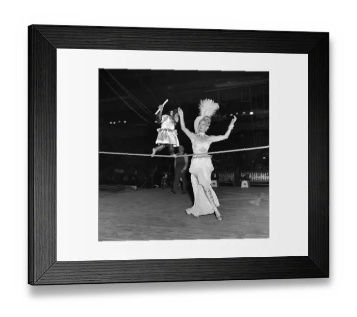 Framed Print : Ringling Bros. and Barnum & Bailey Circus