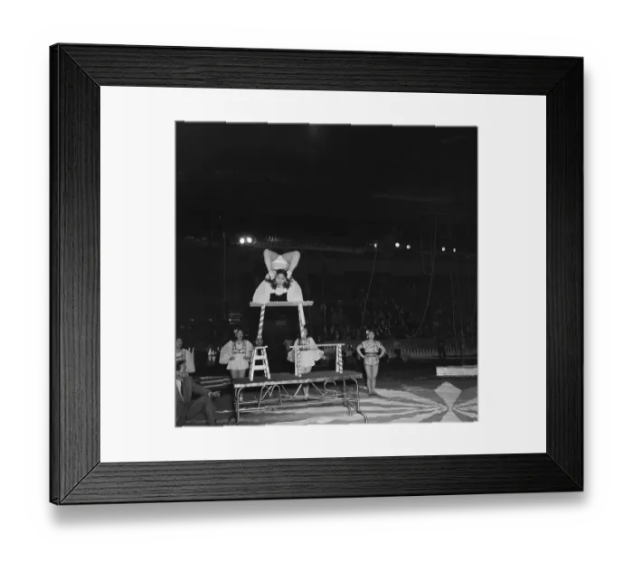 Framed Print : Ringling Bros. and Barnum & Bailey Circus Framed Print : Ringling Bros. and Barnum & Bailey Circus